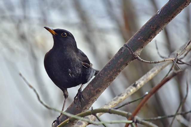 成功经验
